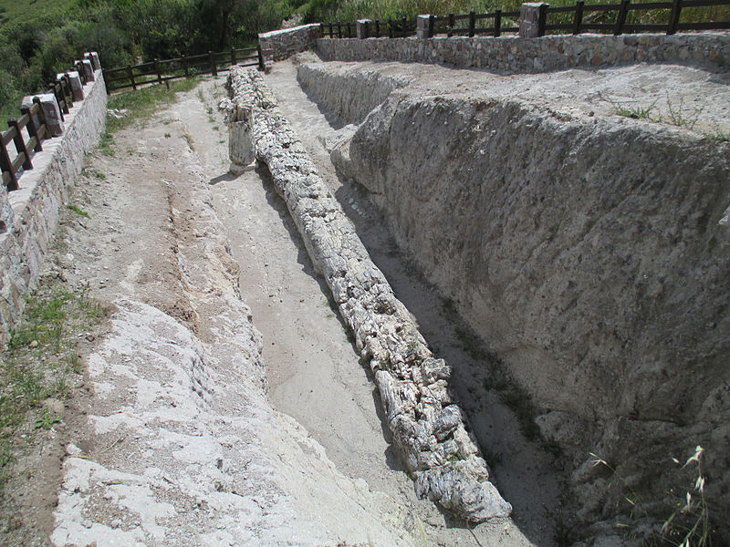 File:Petrified forest of Lesbos 06.jpg