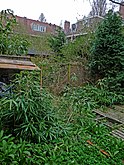 Picture of a city-garden in April 2013 behind the houses of the Padangstraat; Indische buurt, Amsterdam-Oost; photo, Fons Heijnsbroek