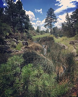 Rio de Flag River in Arizona, United States