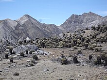 Piedras Blancas del Páramo de la Culata, Mérida