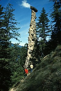 Tall stone pillar surrounded by trees