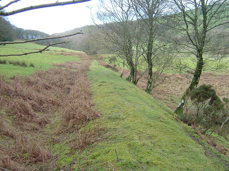 File:Plynlimon and Hafan trackbed - 2007-03-03.jpg