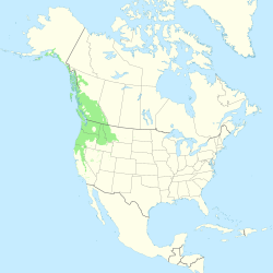 Populus trichocarpa range map.svg