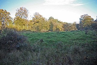 Portingbury Hills