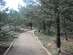 Pot Creek Trail.JPG