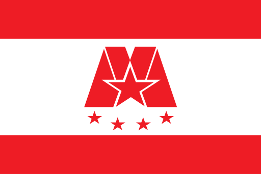 File:Proposed flag for Macau SAR 011.svg