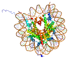 Protein HIST2H2AB PDB 1aoi.png