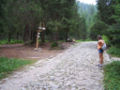 Thumbnail for version as of 06:25, 30 July 2006