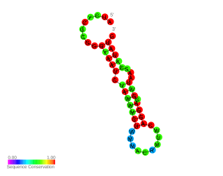 <span class="mw-page-title-main">Hsp17 thermometer</span> RNA element in cynobacteria