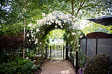 ROSL Garden Arch 2023.jpg