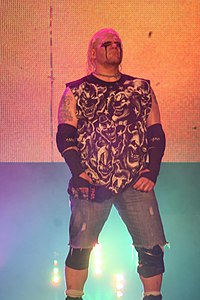 During the pre-show, Raven was inducted into the Hall of Fame by Tommy Dreamer. Raven, TNA IMPACT 5 August 2010 (2).jpg