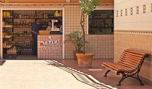 7/08: Santa Cruz de Tenerife - TENERIFE, UN CONTINENTE EN MINIATURA (18)