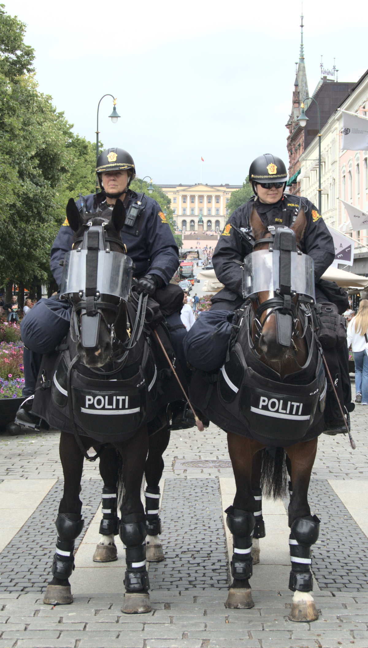 Dramaturgo Aviación Buque de guerra File:Ridende politi i Oslo juli 2021.png - Wikimedia Commons