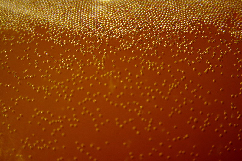 File:Rising bubbles from yeast fermentation.jpg