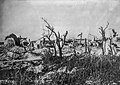 Ruines de Nauroy en 1918