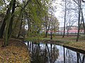 Wrześnica przepływająca przez park