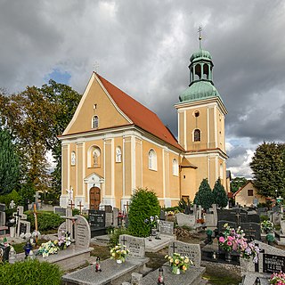 Zawonia, Lower Silesian Voivodeship Village in Lower Silesian Voivodeship, Poland