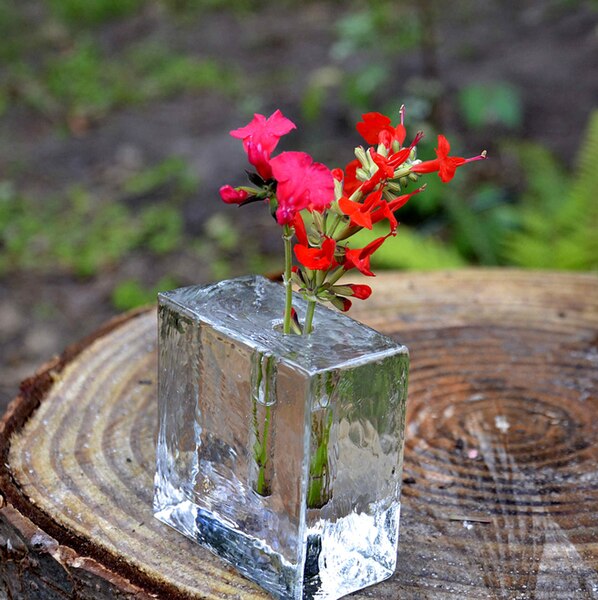 File:Salvia coccinea 'Lady in Red' and Salvia heerii.jpg