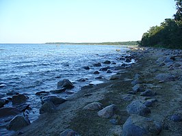 De kust bij Saviranna