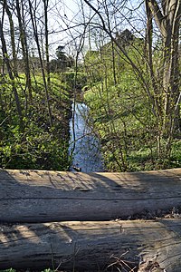 Schleswig-Holstein, Friedrichstadt, Naturerlebnisraum NIK 4977.jpg