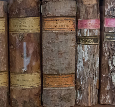 Holzbibliothek auf Schloss Langenburg