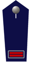 Oberbrandmeister/-di