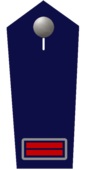 Oberbrandmeister/-in