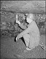 Section foreman testing for gas in corner of a "room". Inland Steel Company, Wheelwright ^1 & 2 Mines, Wheelwright... - NARA - 541475.tif