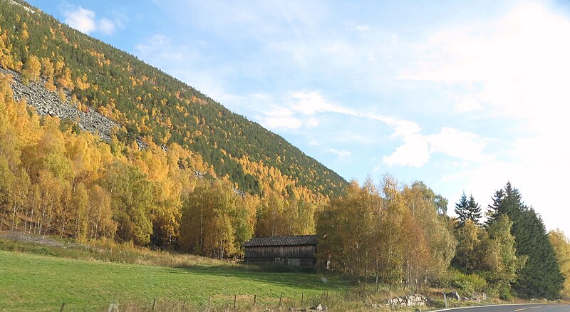 File:Sel Skjelle husmpl under Mattisstad IMG 1351.JPG