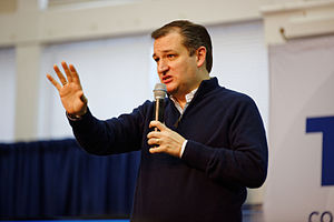 Ted Cruz: Wczesne życie i edukacja, Wczesna kariera polityczna i prawnicza, Senator Stanów Zjednoczonych z Teksasu