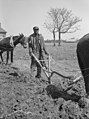 Sharecropper plowing