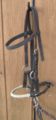 A sidepull, a type of hackamore for horses