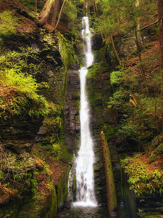 Формат вертикального фото. Водопад Хорстейл. Красивые водопады. Узкий водопад. Волшебный водопад.