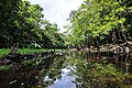 Siriki Creek - Pomeroon - panoramio.jpg