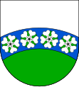 Slaná coat of arms