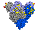 Spike-Protein mit hervorgehobenen Mutationen, Blick von oben auf die rezeptorbindende Domäne (RBD)