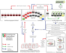 Staatsaufbau Nordrhein-Westfalen.svg