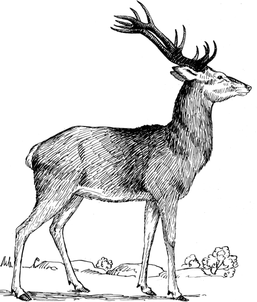 File:Stag (PSF).png