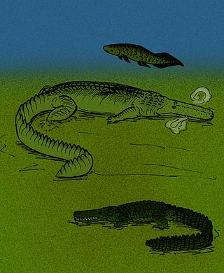 <i>Retodus</i> Extinct genus of fishes