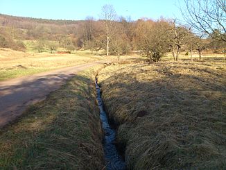 The Streilbach in front of Oberbessenbach