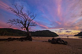 Viga coast Sunrise at Viga Catanduanes.jpg