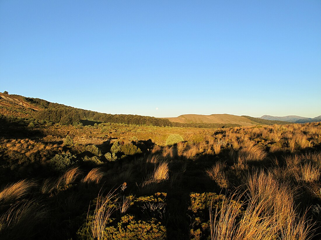 Kaimanawa Range