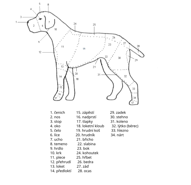 Krajiny těla psa