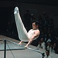 Thumbnail for Gymnastics at the 1964 Summer Olympics – Men's horizontal bar