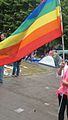Taksim Gezi Parkı protestolarında LGBT (3).jpg