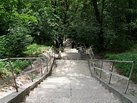 Сходи між горішньою і долішньою частинами парку (липень 2019)
