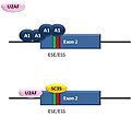 2009年5月3日 (日) 20:04時点における版のサムネイル