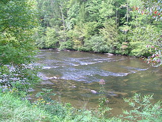 <span class="mw-page-title-main">Tellico River</span> River in the United States of America