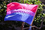 תמונה ממוזערת עבור דגל הגאווה הביסקסואלי