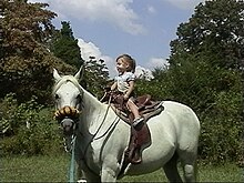 Three year old girl riding an Arabian horse.jpg